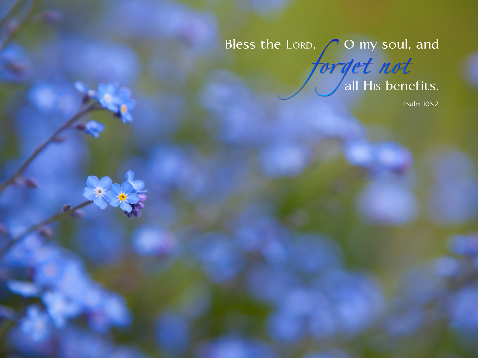 Have adversity or blessings shifted your focus?